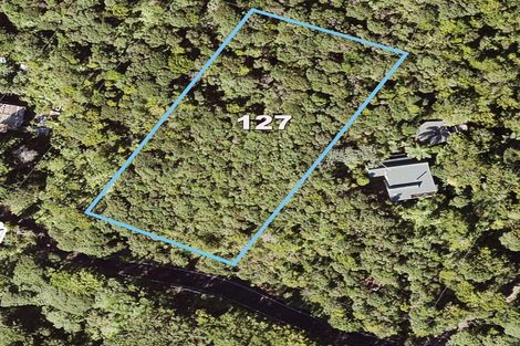 Photo of property in 127 Lone Kauri Road, Karekare, Auckland, 0772