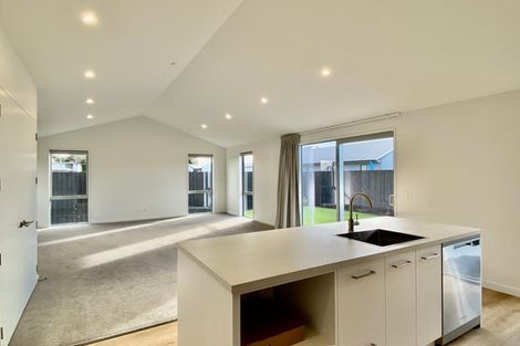 Photo of property in 55 Fairmaid Street, Lincoln, 7608