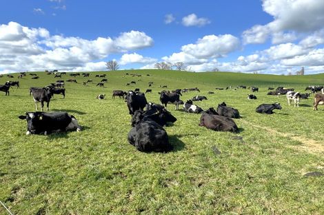 Photo of property in 233b Kio Kio Station Road, Otorohanga, 3974