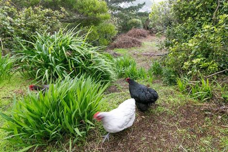 Photo of property in 64 Nalanda Crescent, Broadmeadows, Wellington, 6035