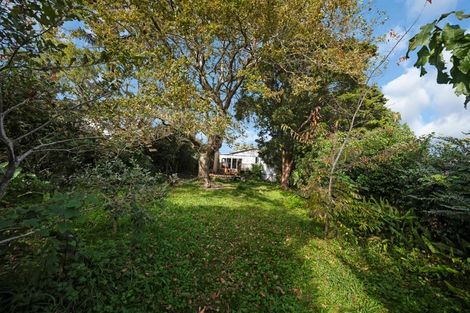 Photo of property in 117 Hutchinson Avenue, New Lynn, Auckland, 0600