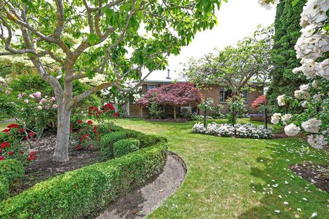 Photo of property in 24 Brompton Drive, Taradale, Napier, 4112