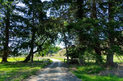 Photo of property in 246 Scotts Road, Inland Road, Kaikoura, 7373
