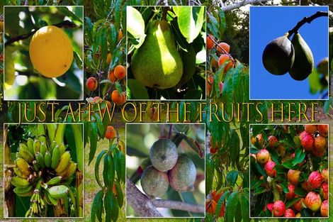 Photo of property in 734 Okahukura Road, Tapora, Wellsford, 0977