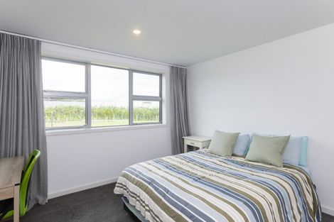 Photo of property in 547 Nelson Road, Lytton West, Gisborne, 4071