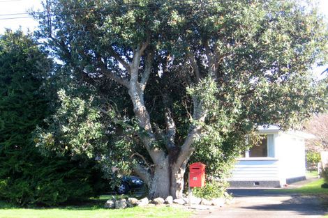 Photo of property in 26 Daniell Street, Featherston, 5710