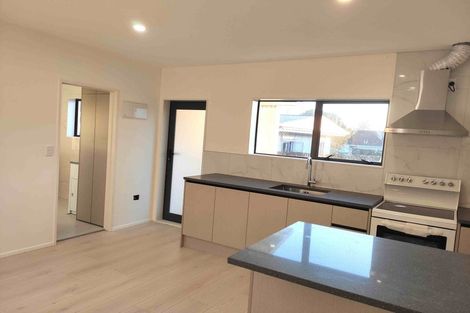 Photo of property in 24 Ireland Road, Mount Wellington, Auckland, 1060