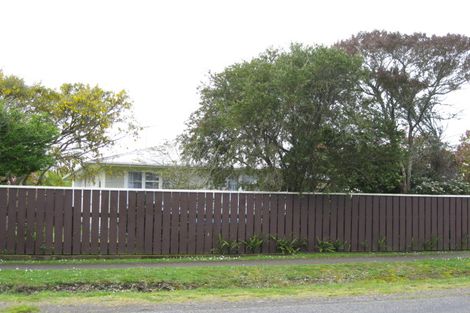 Photo of property in 93 Princess Street, Waitara, 4320