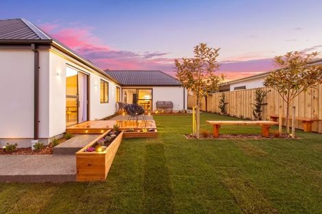 Photo of property in 91 Leistrella Road, Hoon Hay, Christchurch, 8025