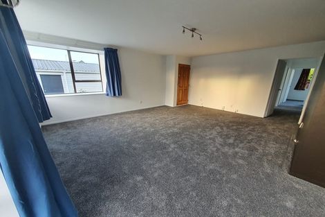 Photo of property in 46b Richill Street, Belfast, Christchurch, 8051