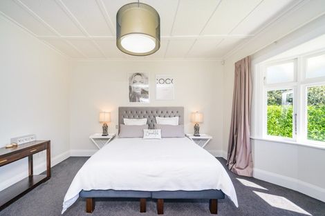 Photo of property in 20 Knowles Street, Terrace End, Palmerston North, 4410