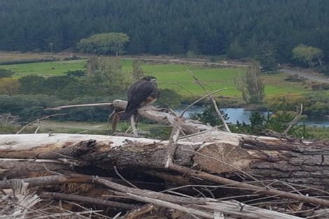 Photo of property in 990 Motueka River West Bank Road, Motueka Valley, Motueka, 7196