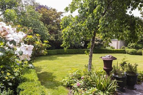 Photo of property in 17 Desmond Street, Merivale, Christchurch, 8014