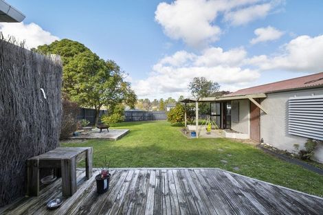 Photo of property in 88 Manson Street, Terrace End, Palmerston North, 4410