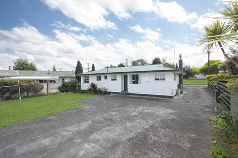 Photo of property in 141 Makino Road, Feilding, 4702