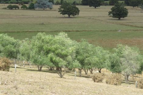 Photo of property in 28 Reservoir Road, Kaikohe, 0405