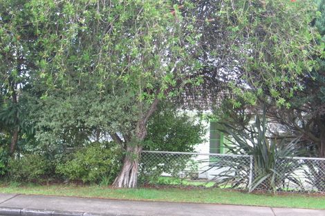 Photo of property in 94 Harrington Road, Henderson, Auckland, 0610