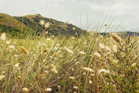 Photo of property in 399 Te Apiti Road, Waimarama, Havelock North, 4294