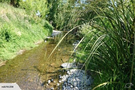 Photo of property in 55 Grey Street, Feilding, 4702