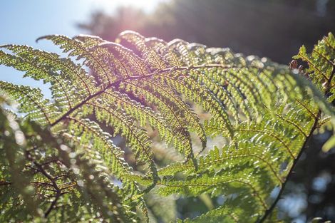 Photo of property in 26 Dashper Drive, Warkworth, 0981