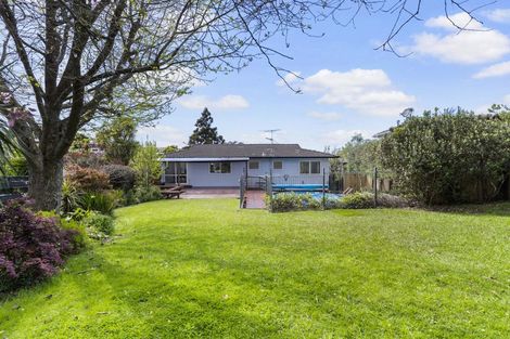 Photo of property in 21 St Ives Terrace, Mairangi Bay, Auckland, 0630