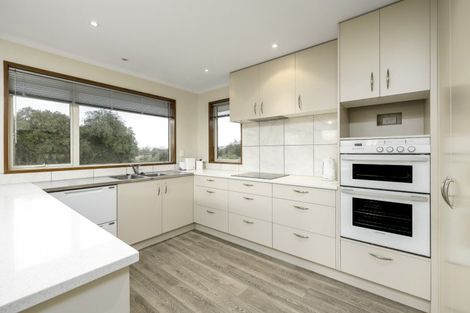 Photo of property in 17 Bond Street, Waimate, 7924