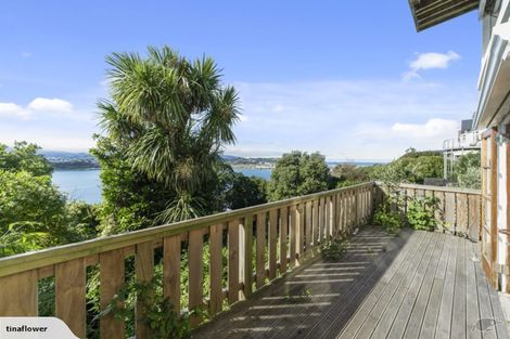 Photo of property in 43 Overtoun Terrace, Hataitai, Wellington, 6021