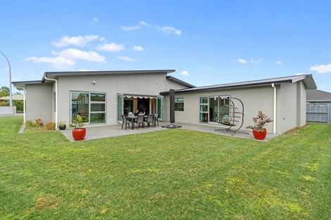 Photo of property in 1 Beaufort Place, Flagstaff, Hamilton, 3210