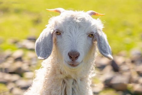 Photo of property in 79 Pipitea Drive, Rarangi, Blenheim, 7273