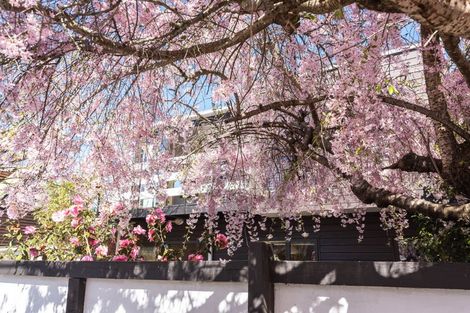 Photo of property in 3/2 Rehua Lane, St Albans, Christchurch, 8014