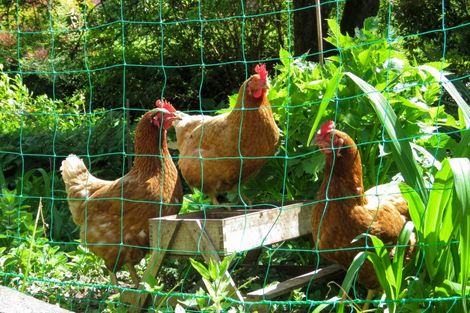 Photo of property in State Highway 7, Blacks Point, Reefton, 7830