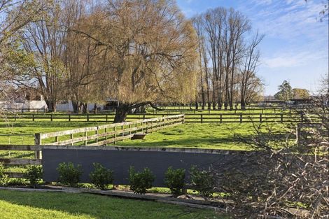 Photo of property in 107 Marychurch Road, Pukemoremore, Cambridge, 3493