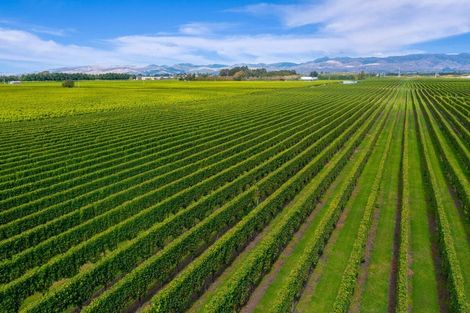 Photo of property in 196 Rapaura Road, Rapaura, Blenheim, 7273