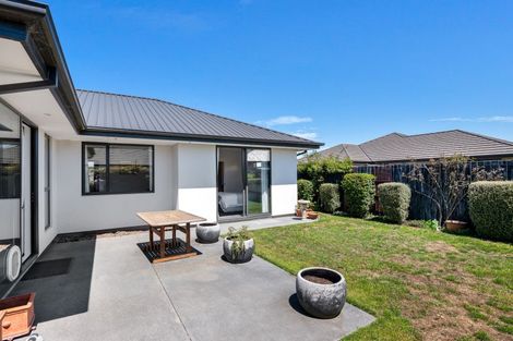 Photo of property in 49 Te Rito Street, Marshland, Christchurch, 8083