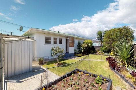 Photo of property in 23 Essex Street, Levin, 5510