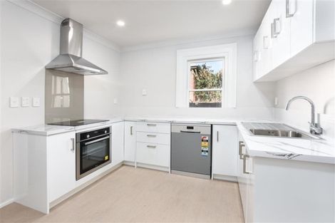 Photo of property in 15 Carr Street, North East Valley, Dunedin, 9010