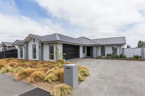 Photo of property in 121 Metehau Street, Marshland, Christchurch, 8083