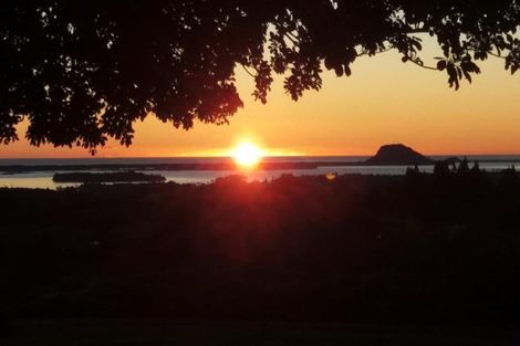 Photo of property in 649a Esdaile Road, Whakamarama, Tauranga, 3180