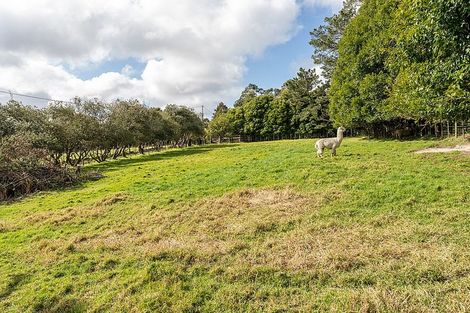 Photo of property in 118 Motu Road, Kumeu, 0891