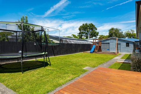 Photo of property in 80 Dillon Street, Blenheim, 7201