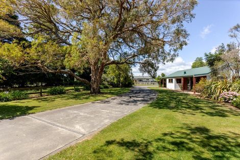 Photo of property in 29 Ruahine Street, Dannevirke, 4930