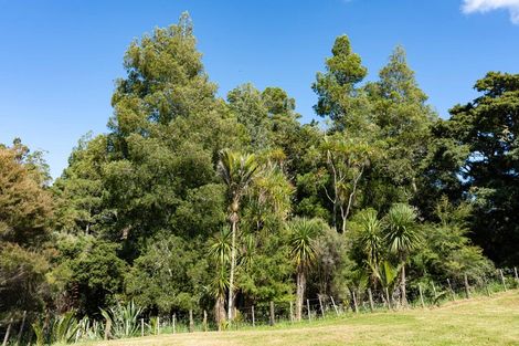 Photo of property in 149 Whaka Street, Maungaturoto, 0583