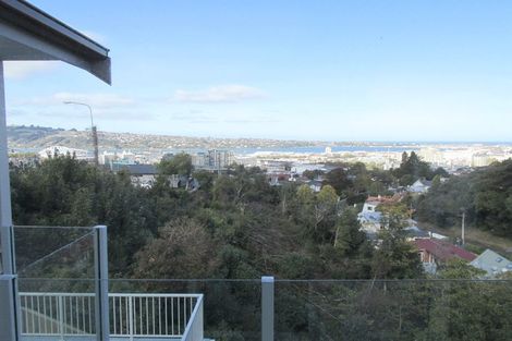 Photo of property in 20 Lachlan Avenue, North Dunedin, Dunedin, 9016