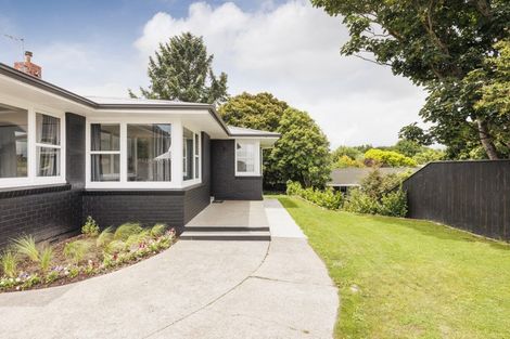 Photo of property in 494 Church Street, Palmerston North, 4410