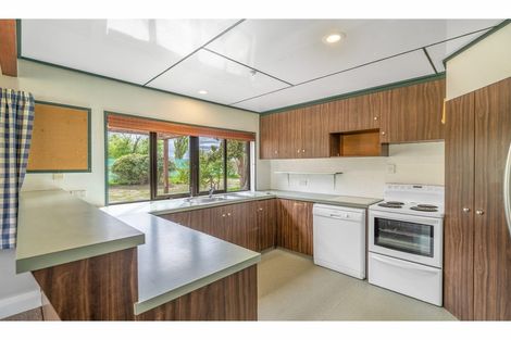 Photo of property in 484 Chestermains Road, Omakau, 9376