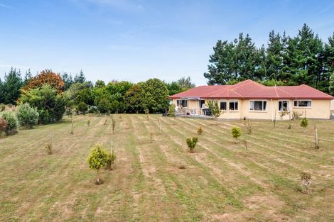 Photo of property in 10b Gladstone Street, Hawera, 4610