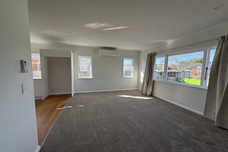 Photo of property in 65 Clarkin Road, Fairfield, Hamilton, 3214