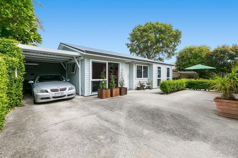 Photo of property in 118a Fourteenth Avenue, Tauranga South, Tauranga, 3112