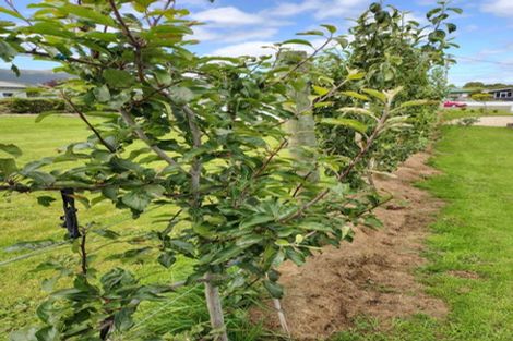 Photo of property in 62 Bushyhill Street, Tapanui, 9522