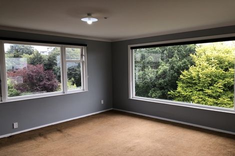 Photo of property in 65 Wilson Road, Balclutha, 9230